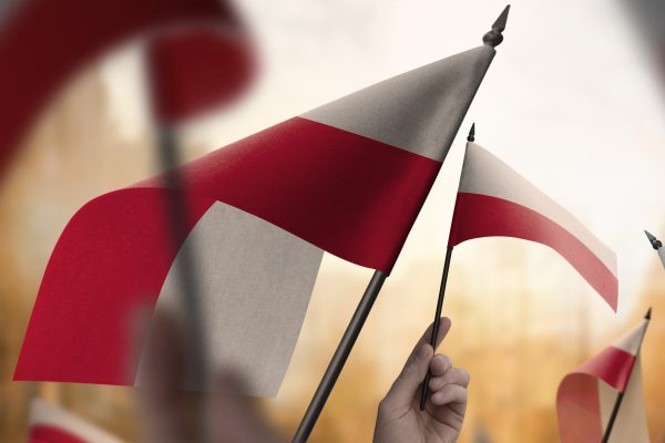 A lengyelek is a magyar álláspontot képviselnék