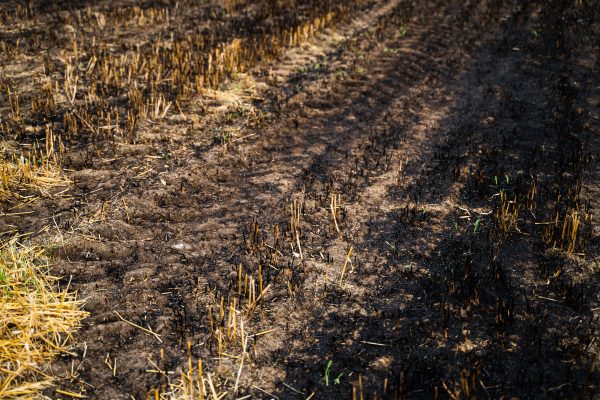 Ukrajnában a háború okozta környezeti kár elérte a 108 milliárd eurót