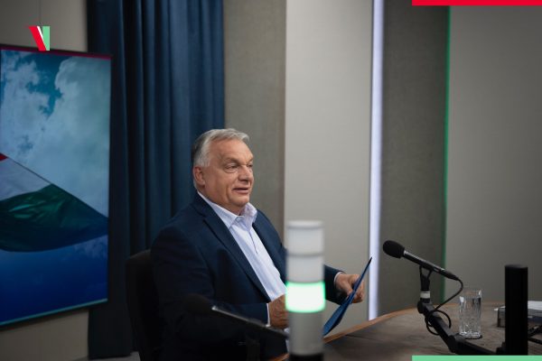 A béke magját most kell elvetni