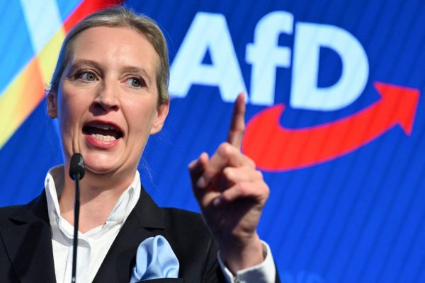 Az AfD-társelnök szerint a képmutató EU dicséri Trumpot
